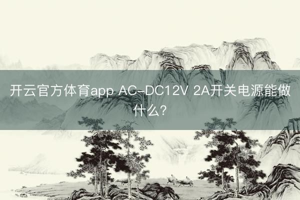 开云官方体育app AC-DC12V 2A开关电源能做什么？