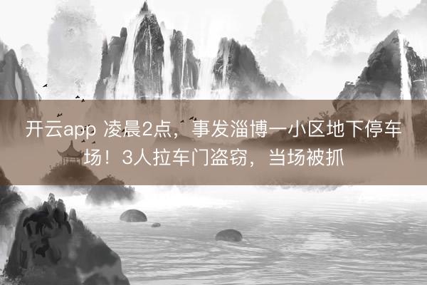 开云app 凌晨2点，事发淄博一小区地下停车场！3人拉车门盗窃，当场被抓
