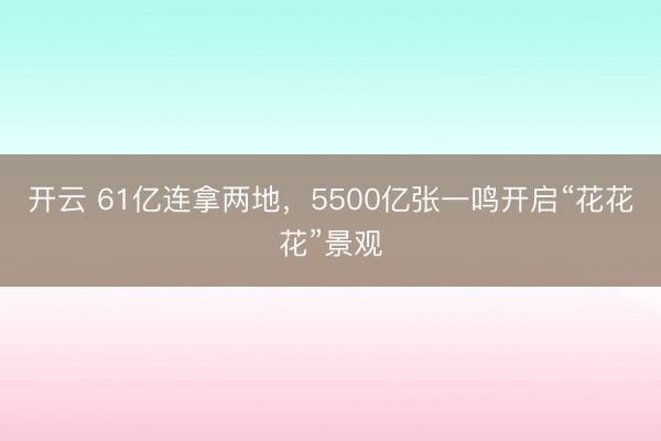 开云 61亿连拿两地,5500亿张一鸣开启“花花花”景观