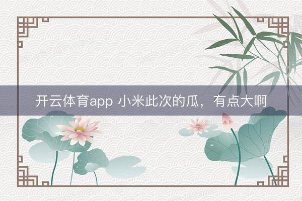开云体育app 小米此次的瓜，有点大啊