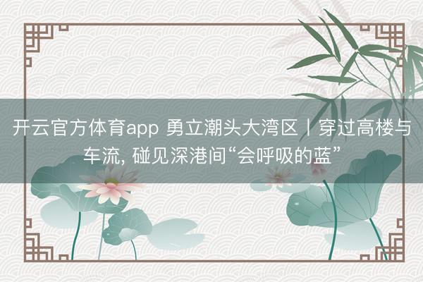 开云官方体育app 勇立潮头大湾区丨穿过高楼与车流， 碰见深港间“会呼吸的蓝”
