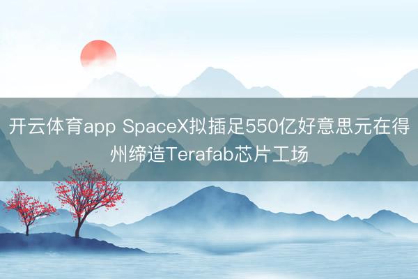 开云体育app SpaceX拟插足550亿好意思元在得州缔造Terafab芯片工场