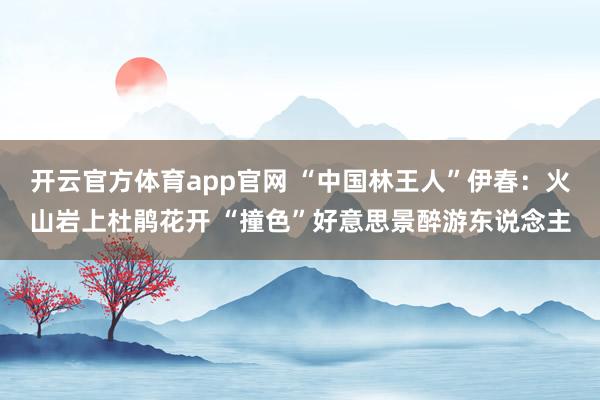 开云官方体育app官网 “中国林王人”伊春：火山岩上杜鹃花开 “撞色”好意思景醉游东说念主
