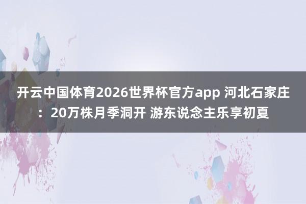 开云中国体育2026世界杯官方app 河北石家庄:20万株月季洞开 游东说念主乐享初夏