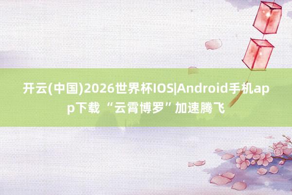 开云(中国)2026世界杯IOS|Android手机app下载 “云霄博罗”加速腾飞