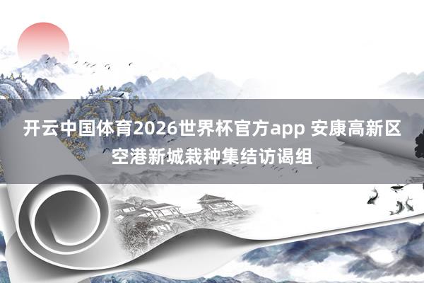 开云中国体育2026世界杯官方app 安康高新区空港新城栽种集结访谒组