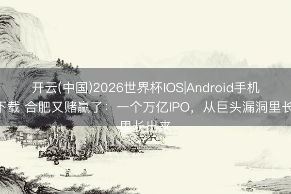 开云(中国)2026世界杯IOS|Android手机app下载 合肥又赌赢了：一个万亿IPO，从巨头漏洞里长出来