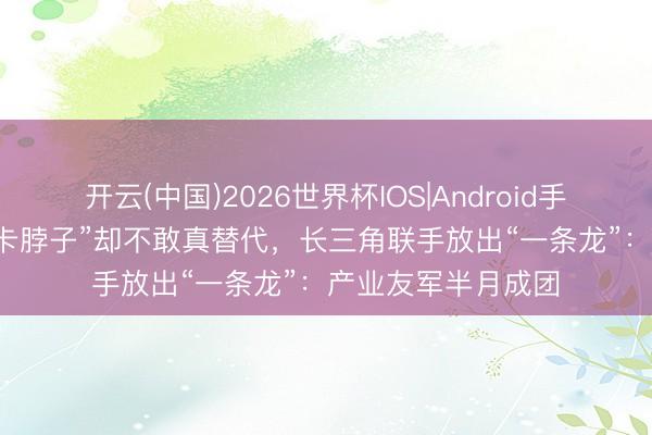 开云(中国)2026世界杯IOS|Android手机app下载 攻下“卡脖子”却不敢真替代，长三角联手放出“一条龙”：产业友军半月成团