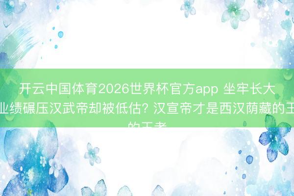 开云中国体育2026世界杯官方app 坐牢长大、业绩碾压汉武帝却被低估? 汉宣帝才是西汉荫藏的王者