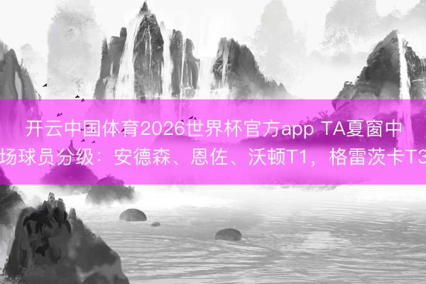 开云中国体育2026世界杯官方app TA夏窗中场球员分级:安德森、恩佐、沃顿T1,格雷茨卡T3