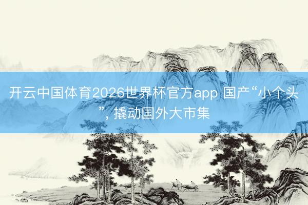 开云中国体育2026世界杯官方app 国产“小个头”， 撬动国外大市集