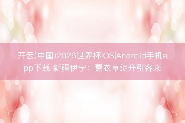 开云(中国)2026世界杯IOS|Android手机app下载 新疆伊宁：薰衣草绽开引客来